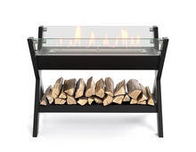 Фото Биокамин Firelight BFP/F-45 X  — купить в Москве