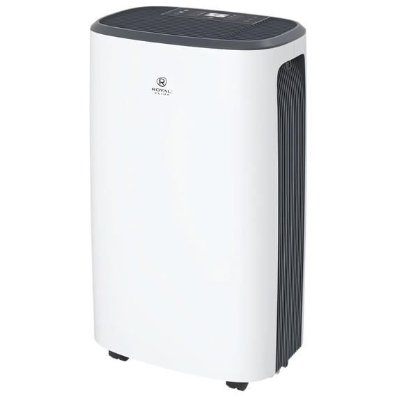 Фото Осушитель воздуха серии CARISMA Loft RD-CR20-E  — купить в Москве