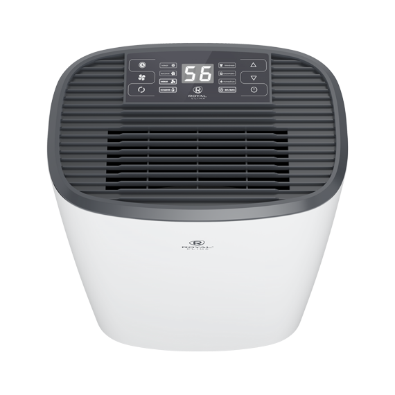 Фото Осушитель воздуха серии CARISMA Loft RD-CR20-E , изображение 6 — купить в Москве