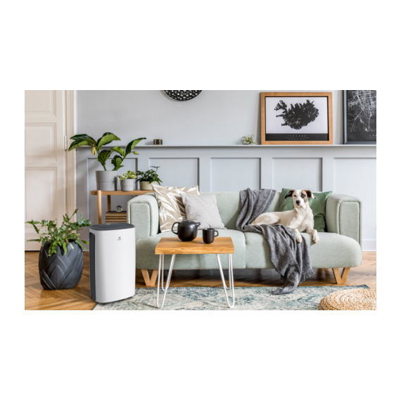 Фото Осушитель воздуха серии CARISMA Loft RD-CR20-E , изображение 10 — купить в Москве