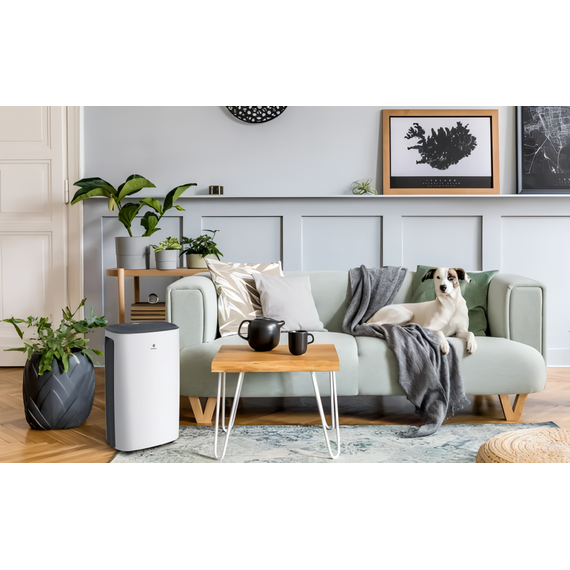 Фото Осушитель Royal Clima RD-CR16-E серия Carisma Loft , изображение 8 — купить в Москве