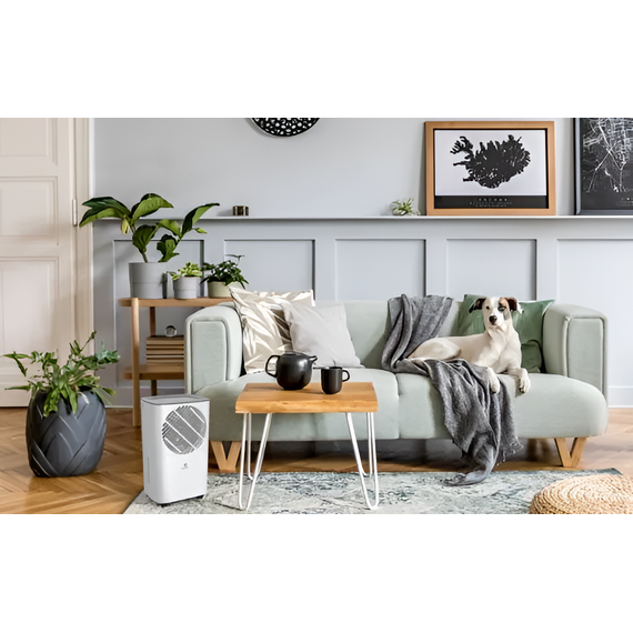 Фото Осушитель воздуха Royal Clima RD-CR10-E серия Carisma Studio , изображение 7 — купить в Москве