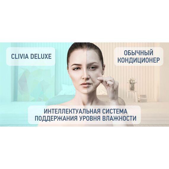 Фото Сплит-система Tosot CliviaDeluxe T09H-SCD/I/T09H-SCD/O , изображение 9 — купить в Москве