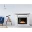 Фото Каминокомплект: Биокамин Firelight BFP/P-2520, портал Elegante 25 белый , изображение 3 — купить в Москве