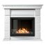 Фото Каминокомплект: Биокамин Firelight BFP/P-2520, портал Elegante 25 белый , изображение 4 — купить в Москве